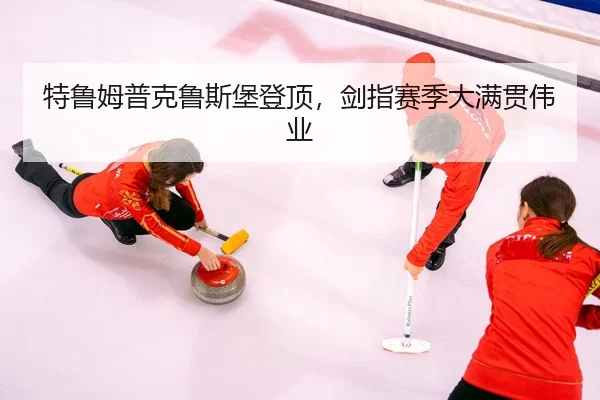 te-lu-mu-pu-ke-lu-si-bao-deng-ding-jian-zhi-sai-ji-da-man-guan-wei-ye-2-478.jpg