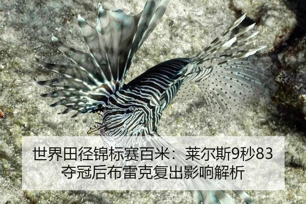 shi-jie-tian-jing-jin-biao-sai-bai-mi-lai-er-si-miao-duo-guan-hou-bu-lei-ke-fu-chu-ying-xiang-jie-xi-3-769.jpg