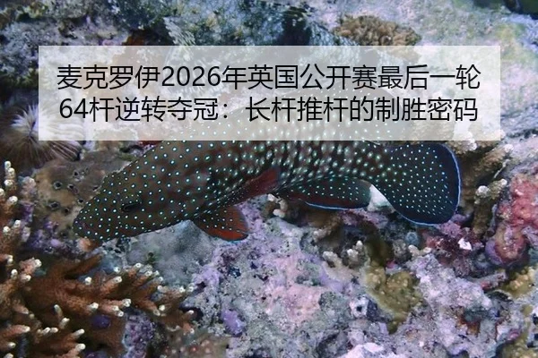 麦克罗伊2026年英国公开赛最后一轮64杆逆转夺冠：长杆推杆的制胜密码